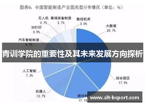 青训学院的重要性及其未来发展方向探析